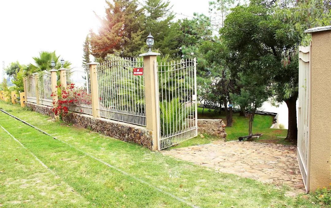 Cabaña rodeada de bosque